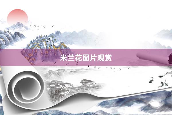米兰花图片观赏
