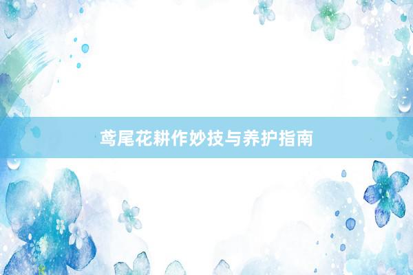 鸢尾花耕作妙技与养护指南