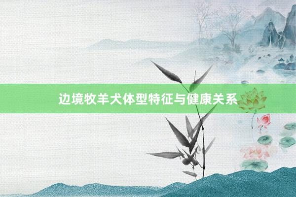 边境牧羊犬体型特征与健康关系